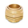 BW BRASS CABLE GLAND - anh 1