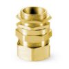 CW BRASS CABLE GLAND - anh 1