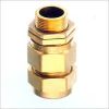 INDUSTRIAL CABLE GLAND E1W - anh 1
